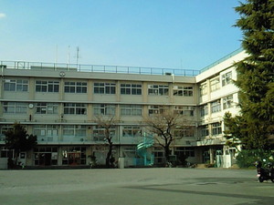 201103101605000.jpg
