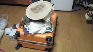 フランスの荷物